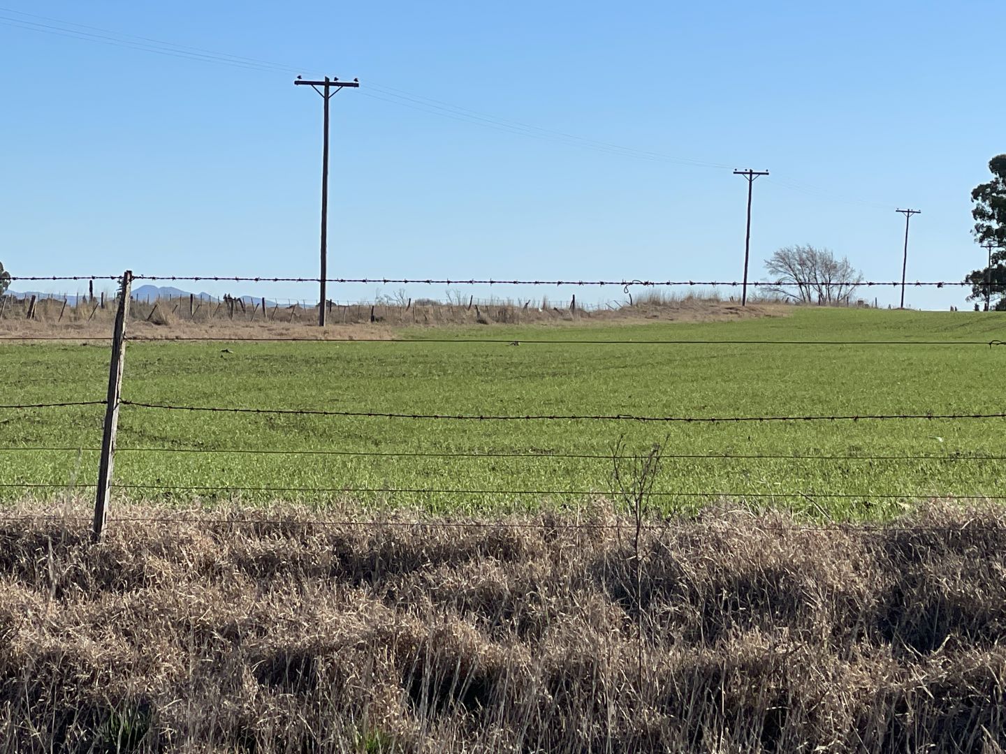 Campo EN VENTA
