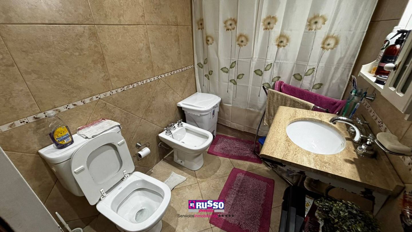 Imagen 13