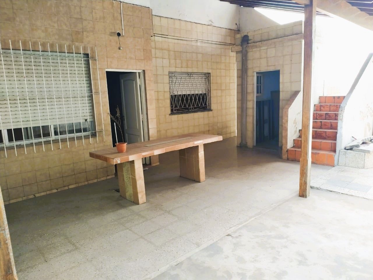 Imagen 12