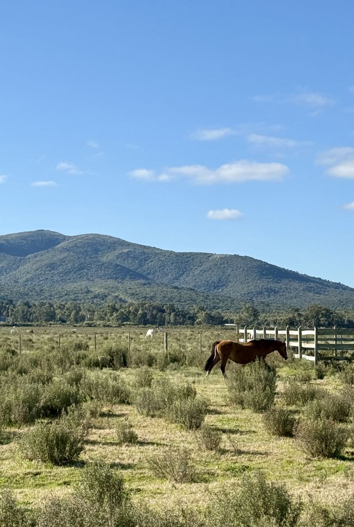 Campo EN VENTA