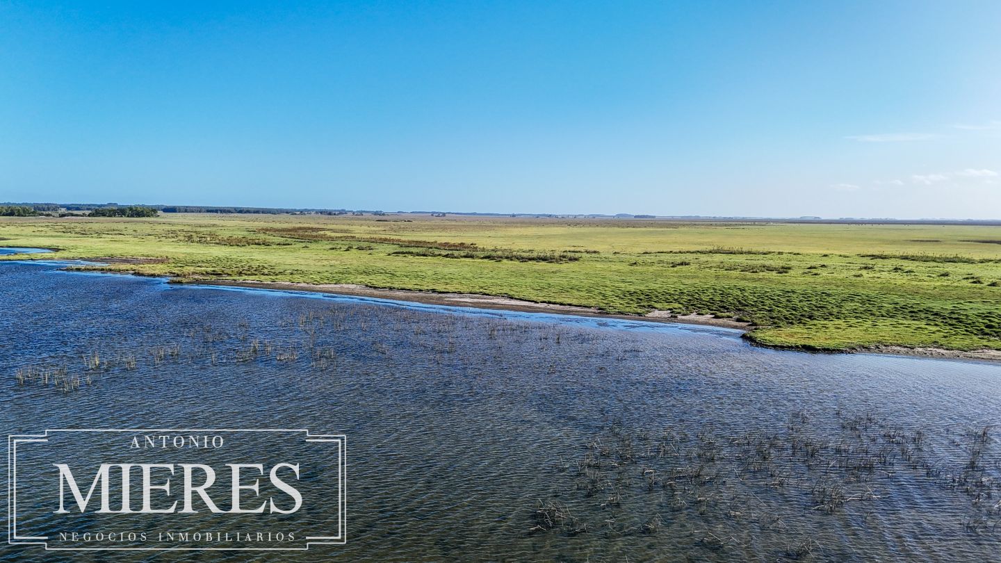 Campo EN VENTA