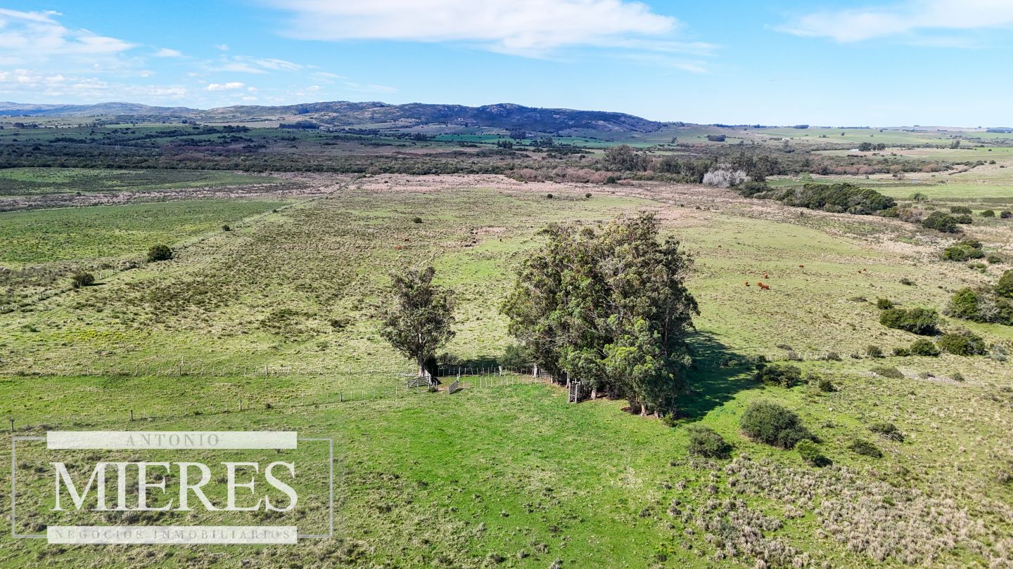 Campo EN VENTA