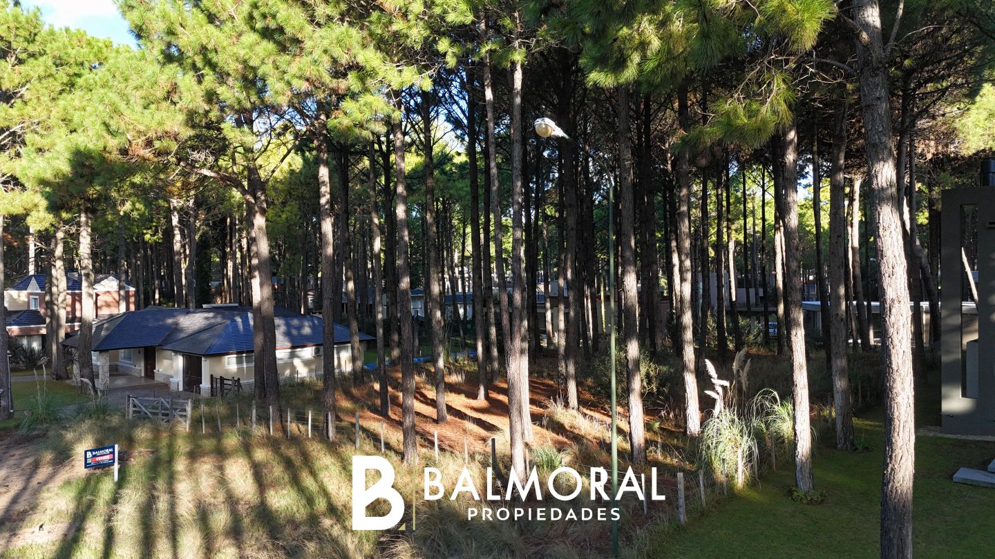 Lote EN VENTA