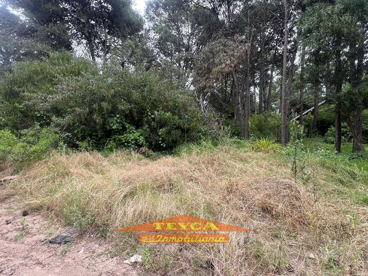 Lote en venta B5 0 ambientes