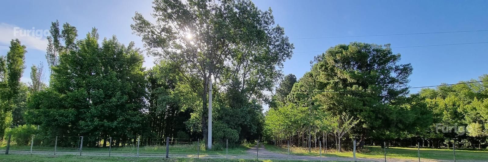 Lote en Venta en Roldán, Santa Fe