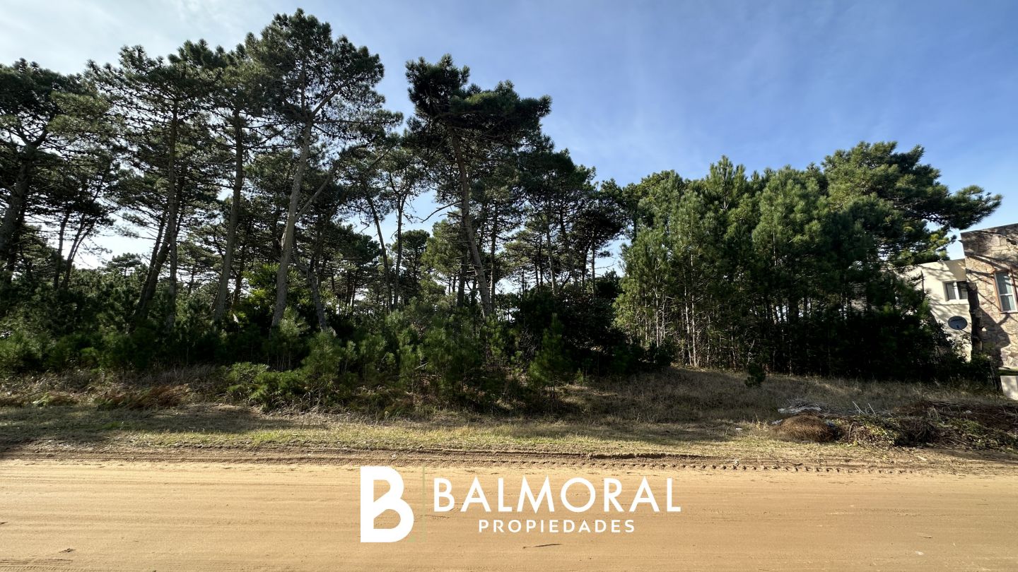 Lote EN VENTA