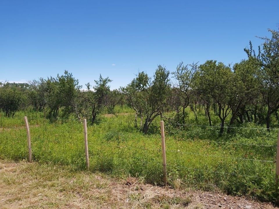 Lote EN VENTA