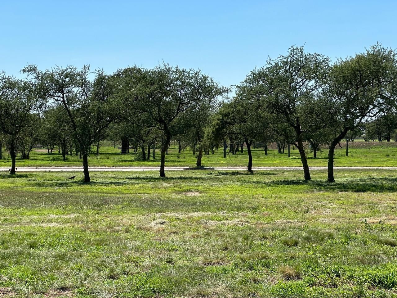 Lote EN VENTA