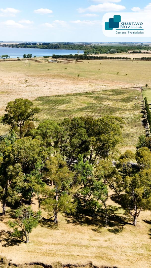 Lote EN VENTA