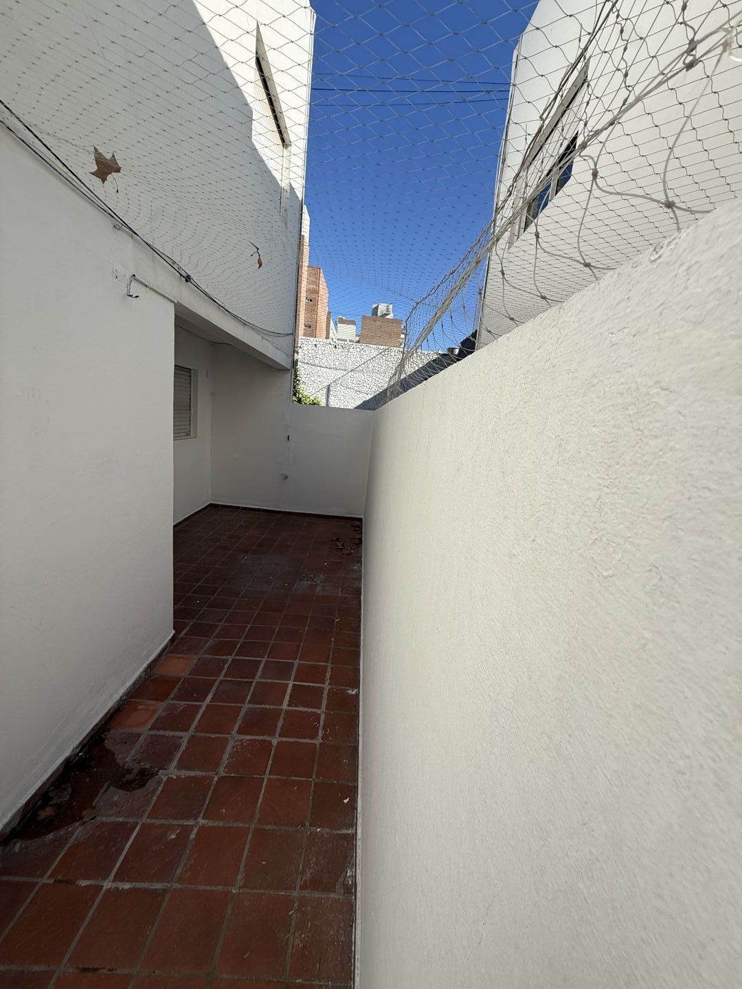 Imagen 26