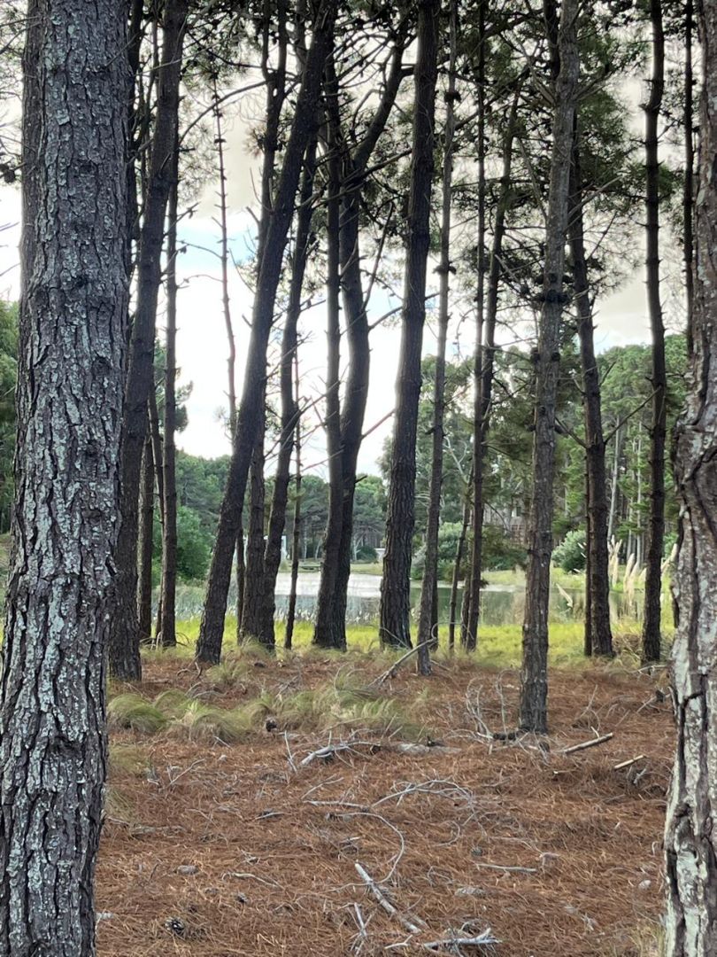 Lote EN VENTA