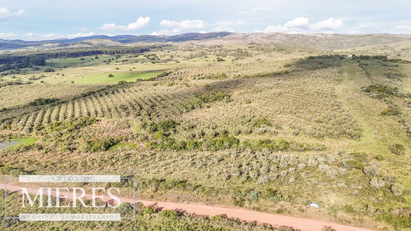 Campo EN VENTA