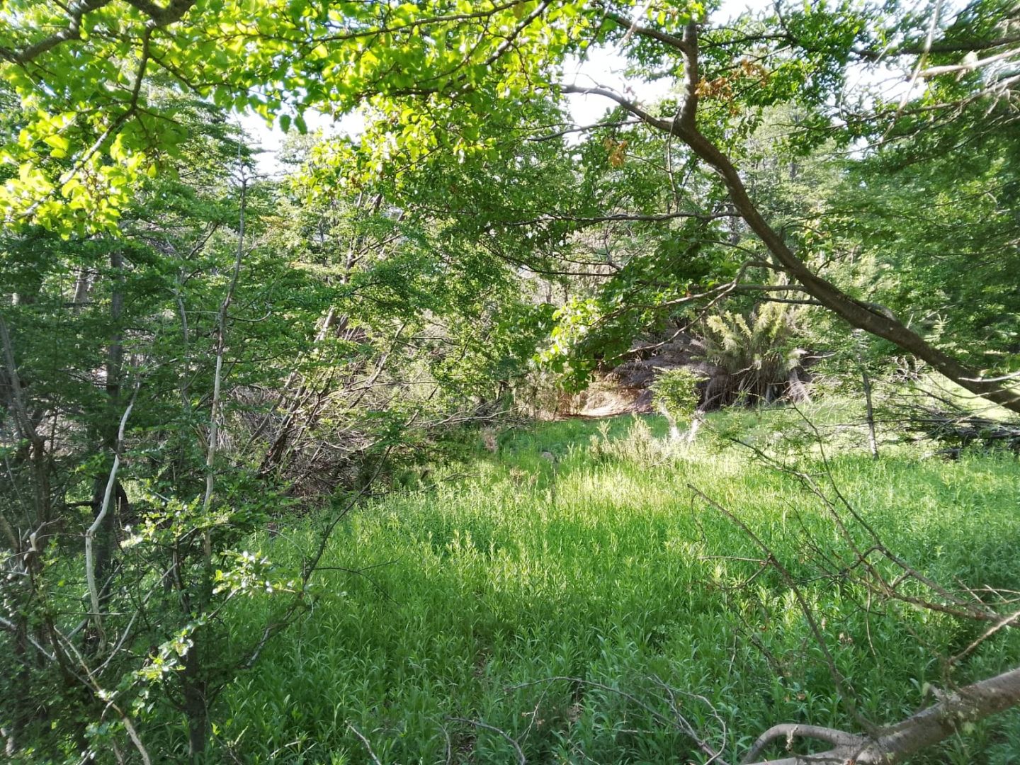 Lote en Venta en San Martin de los Andes, Neuquen