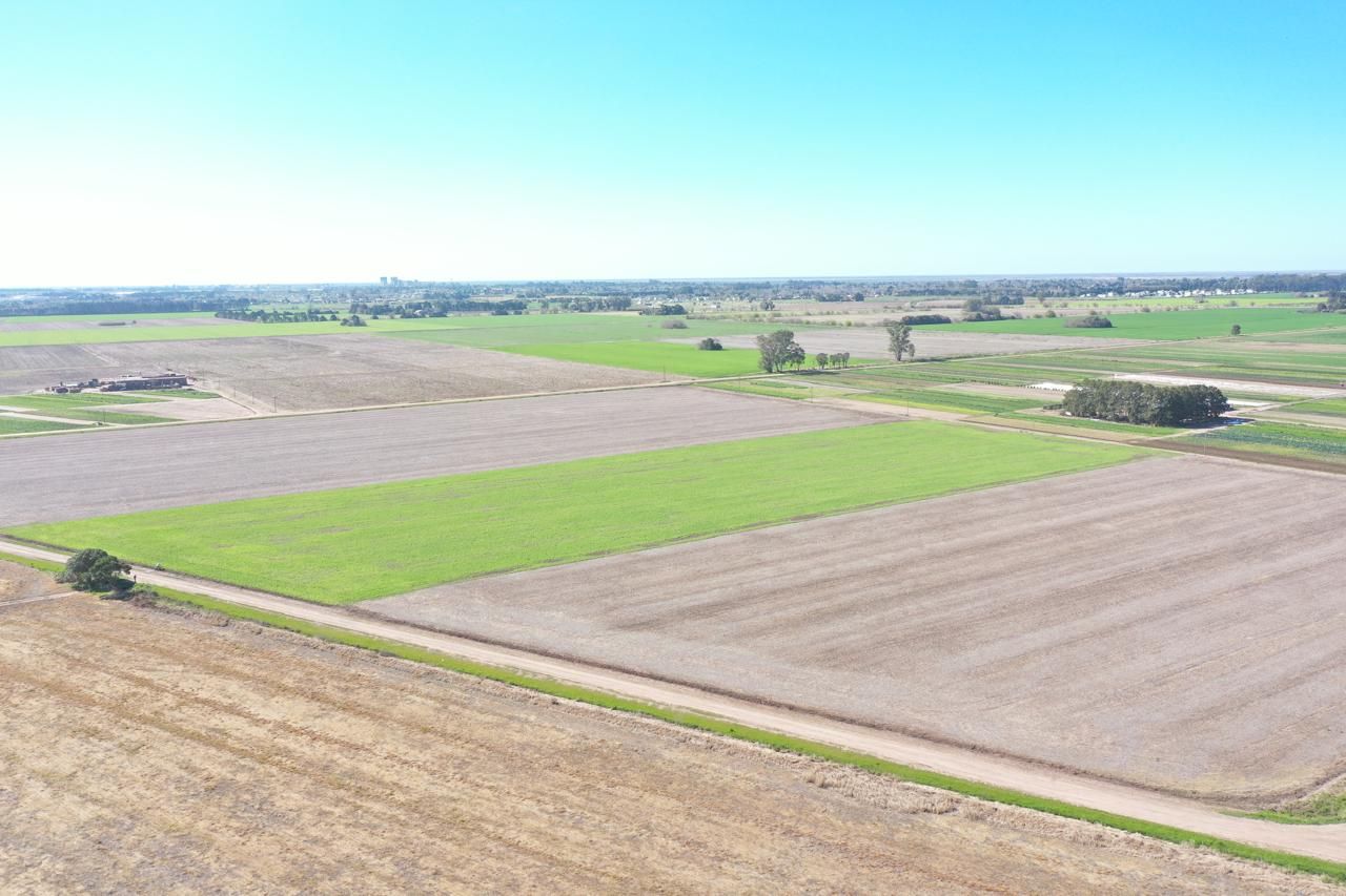 VENTA DE CAMPO EN General Lagos - 4