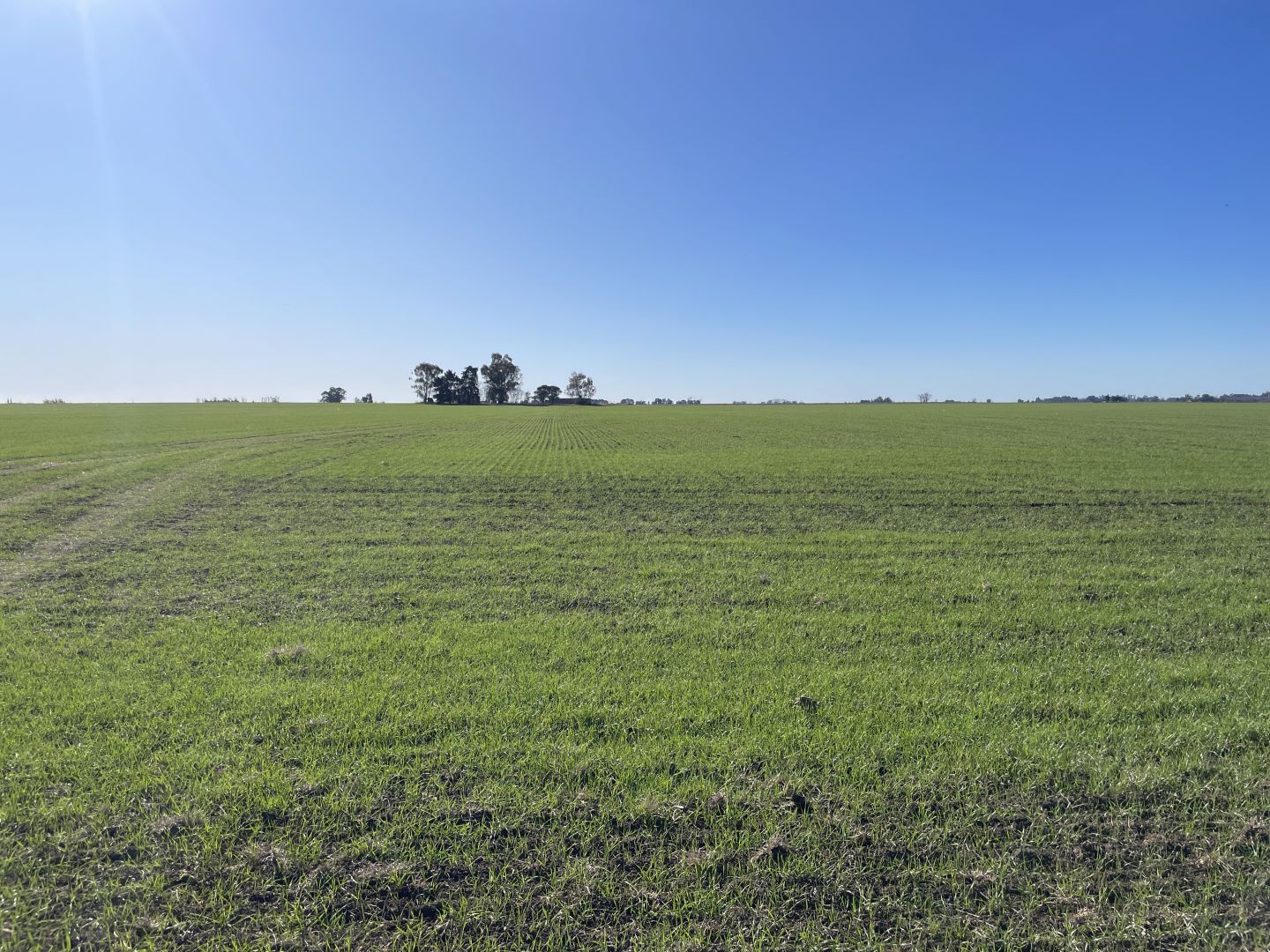 Campo EN VENTA