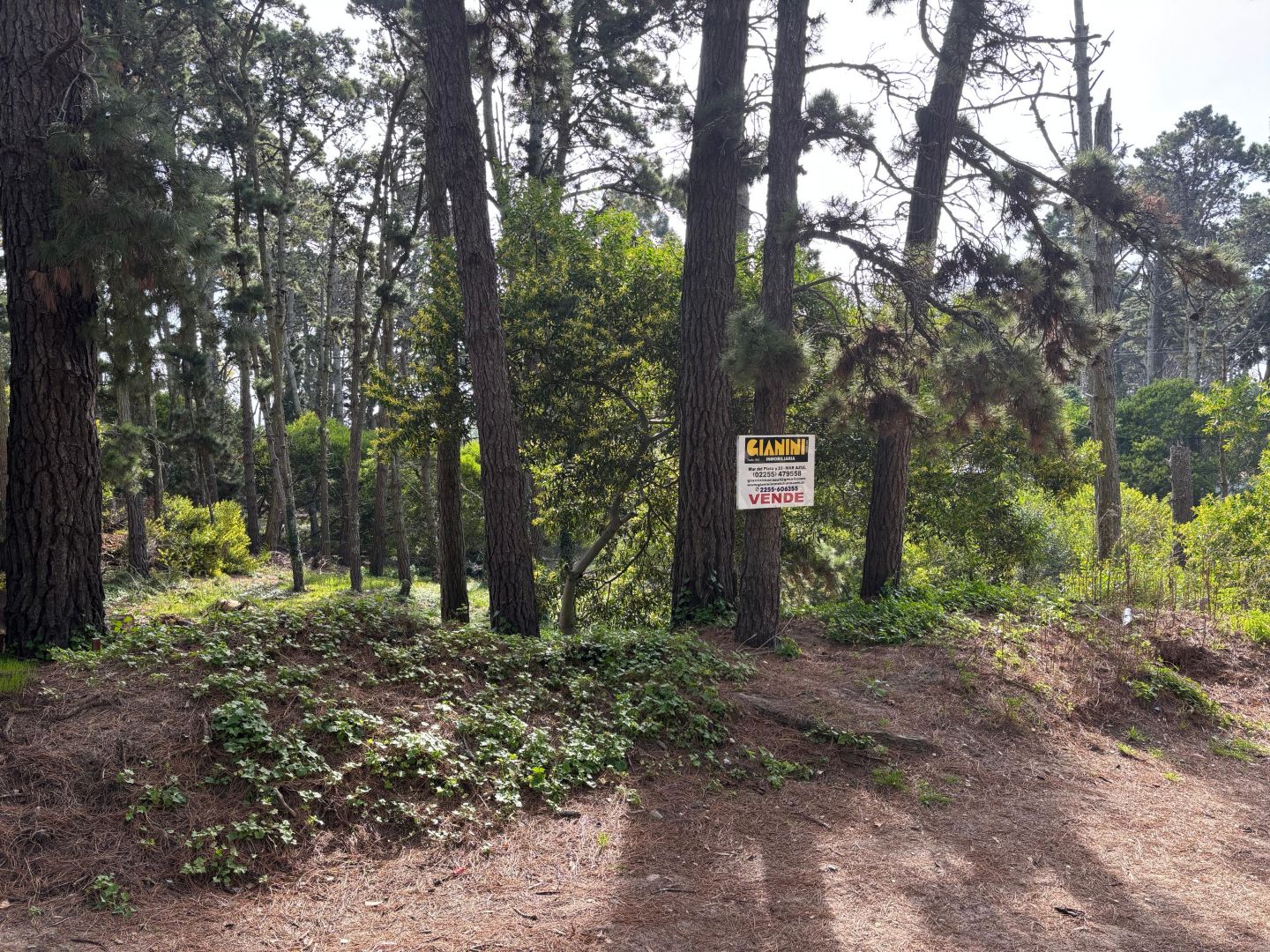 Lote EN VENTA