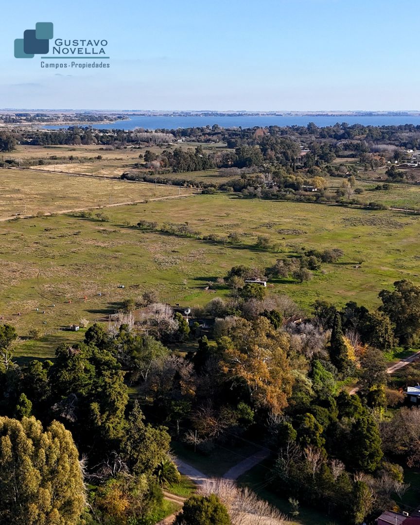Campo EN VENTA