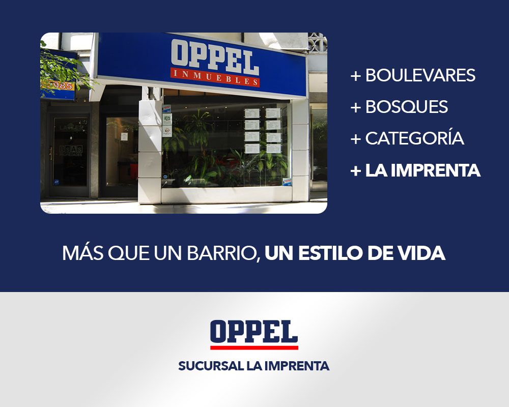 Imagen 10