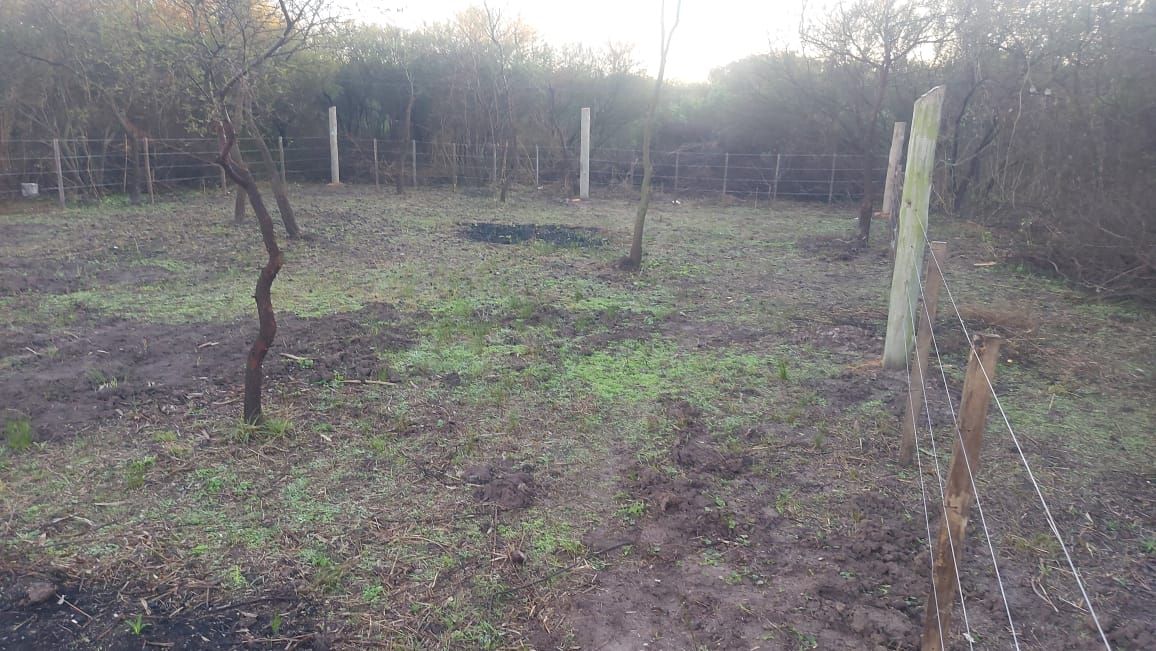 Terreno en Recreo · foto 3