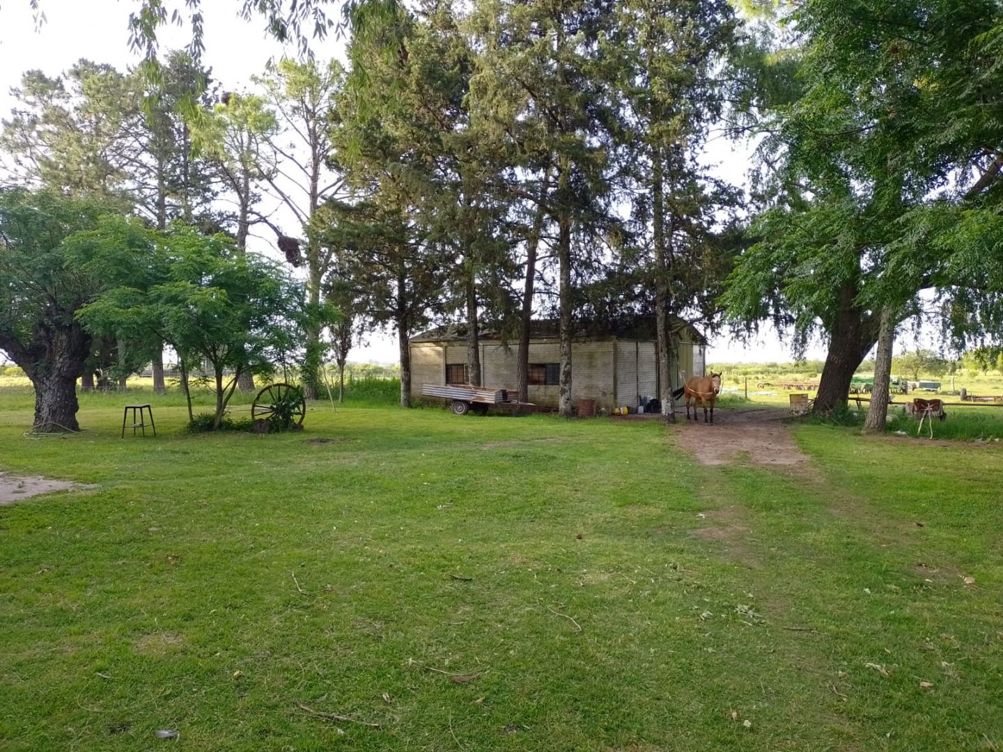 Campo EN ALQUILER