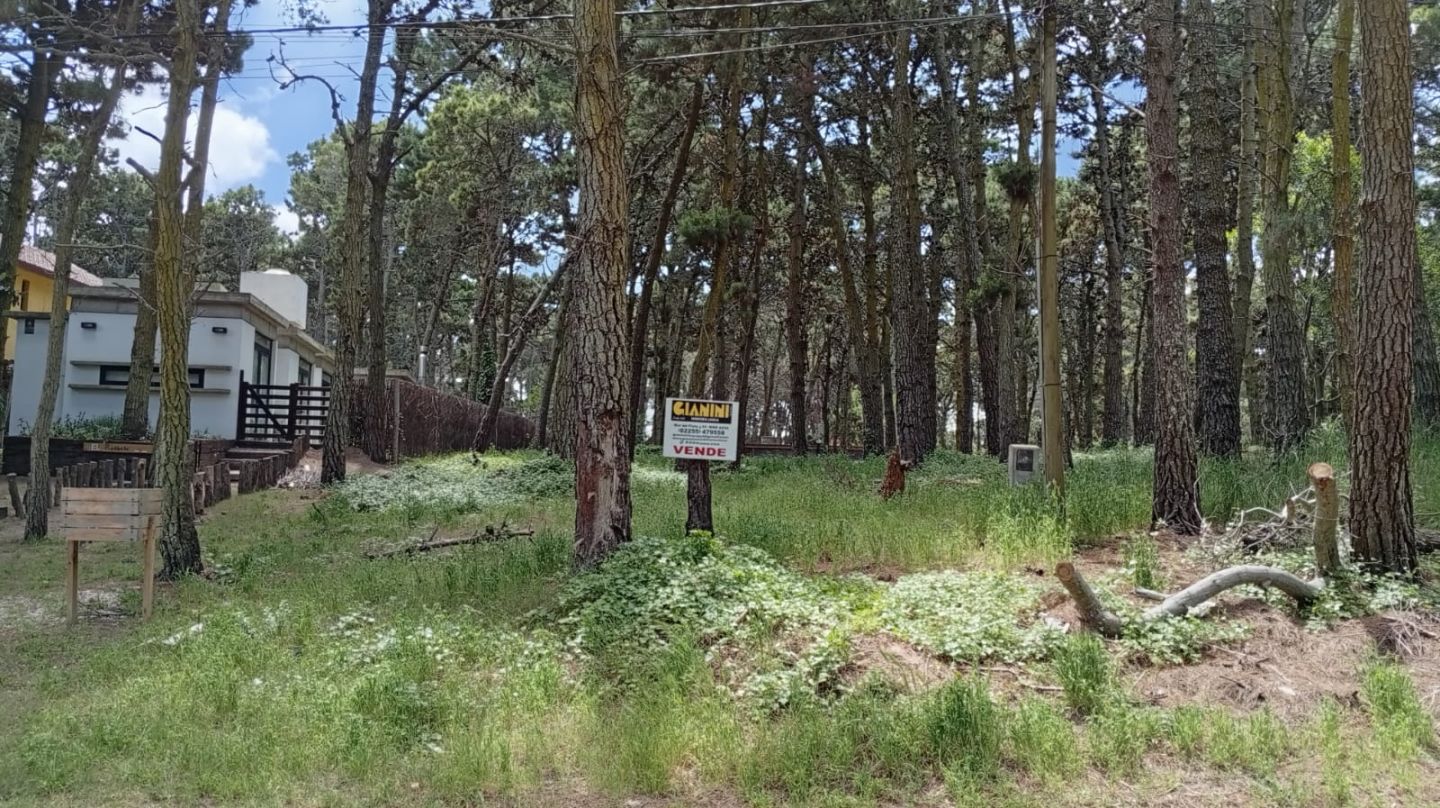 Lote EN VENTA