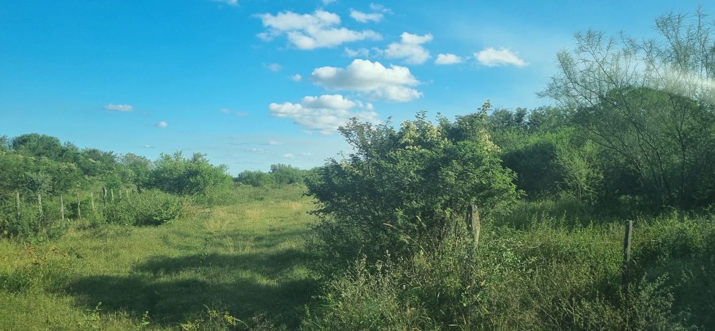 Campo EN VENTA