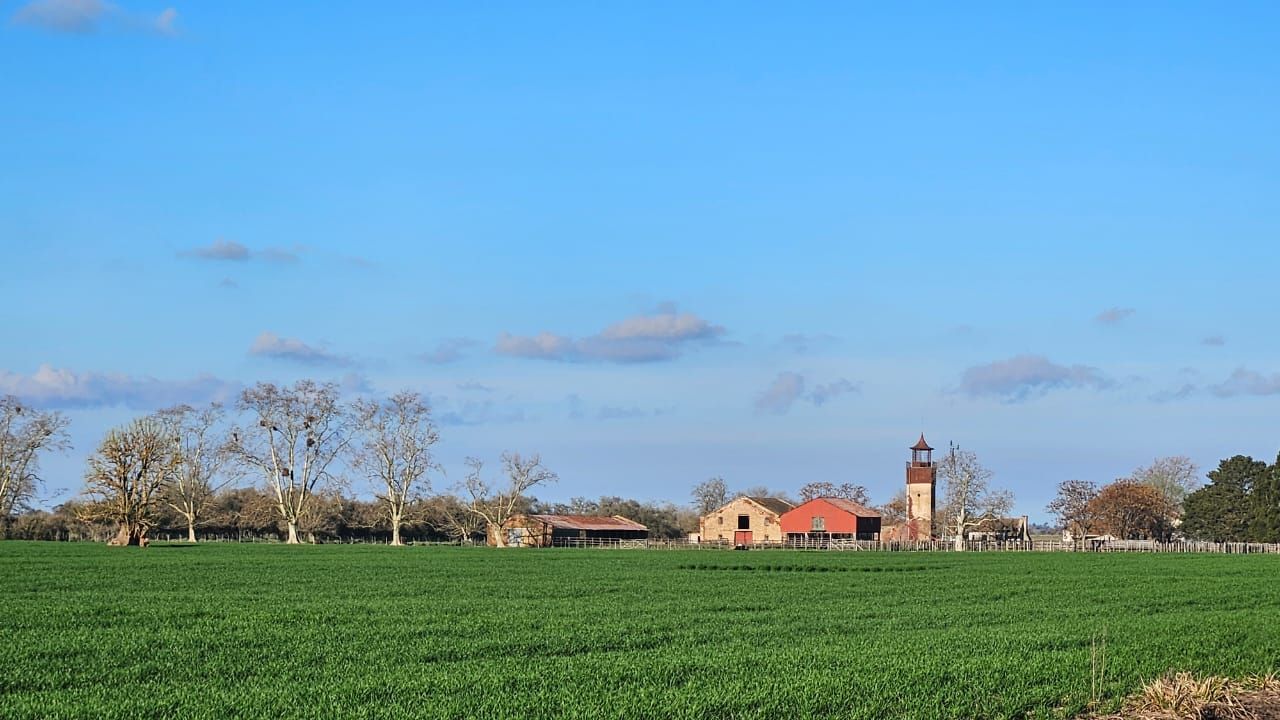 Campo EN VENTA