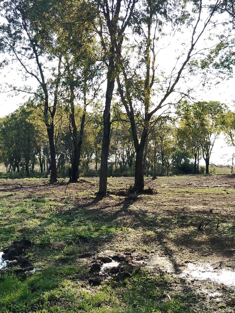 En venta hermoso lote de 900 m2 en barrio costa mango en Posadas mnes — foto 13