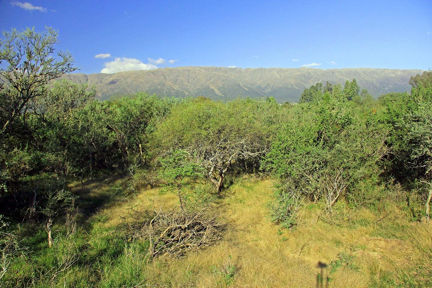 Lote EN VENTA