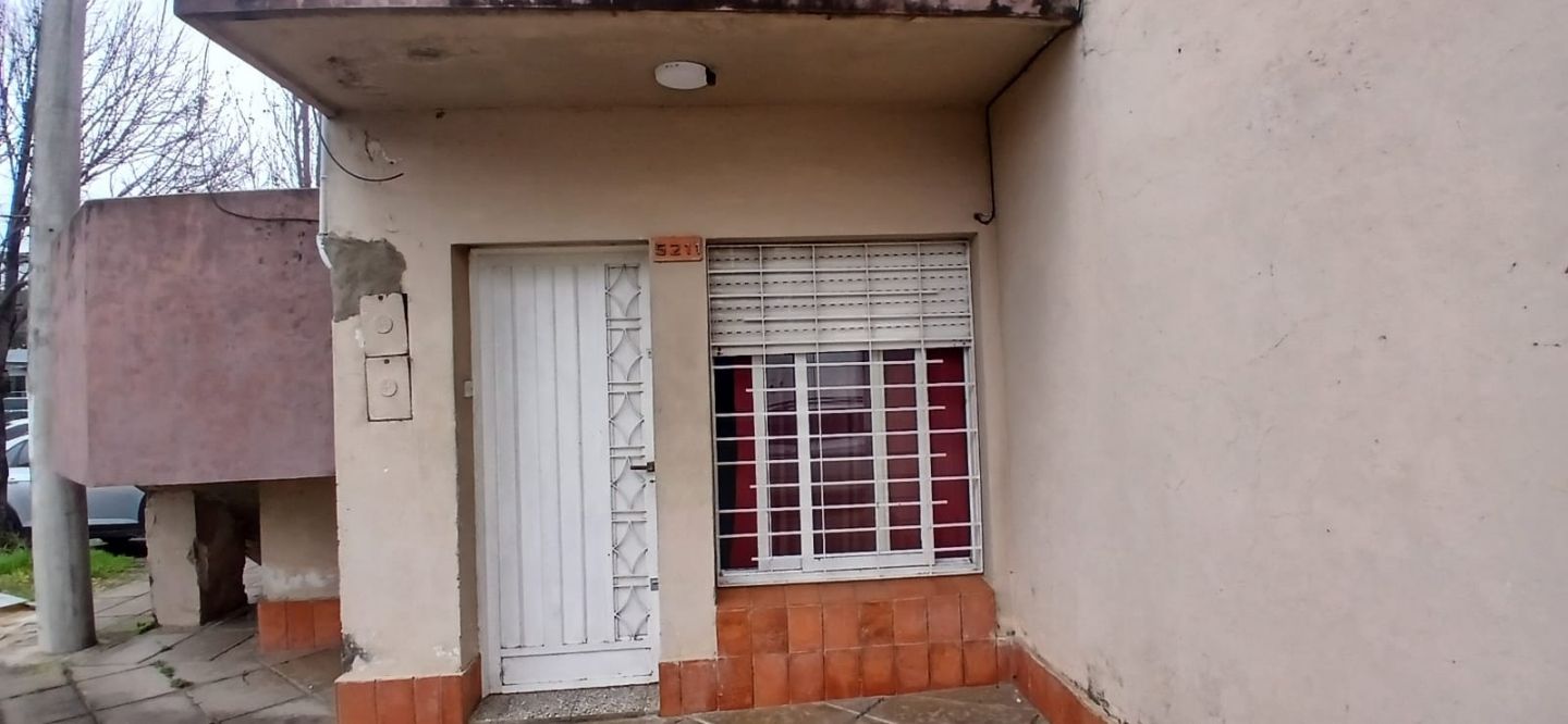 Imagen 11