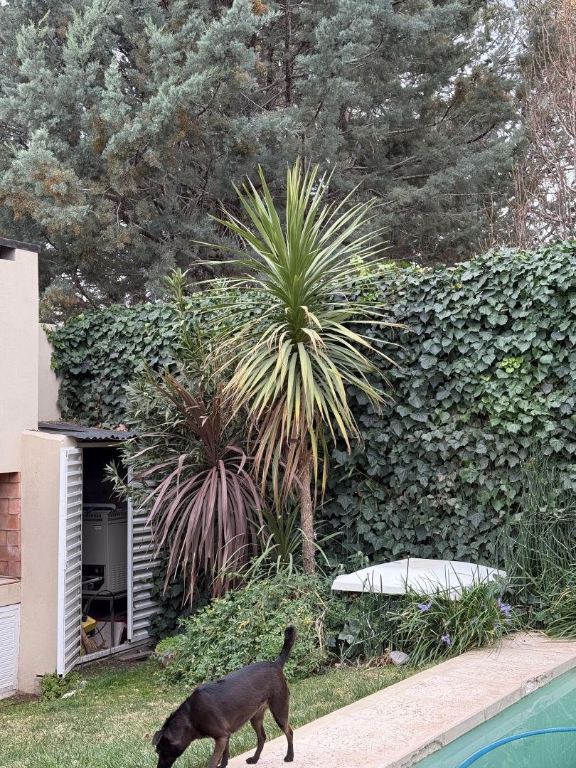 VENTA DE CASA EN Chos Malal - 19