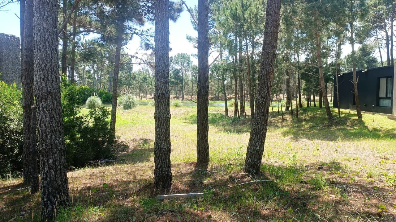 Lote EN VENTA