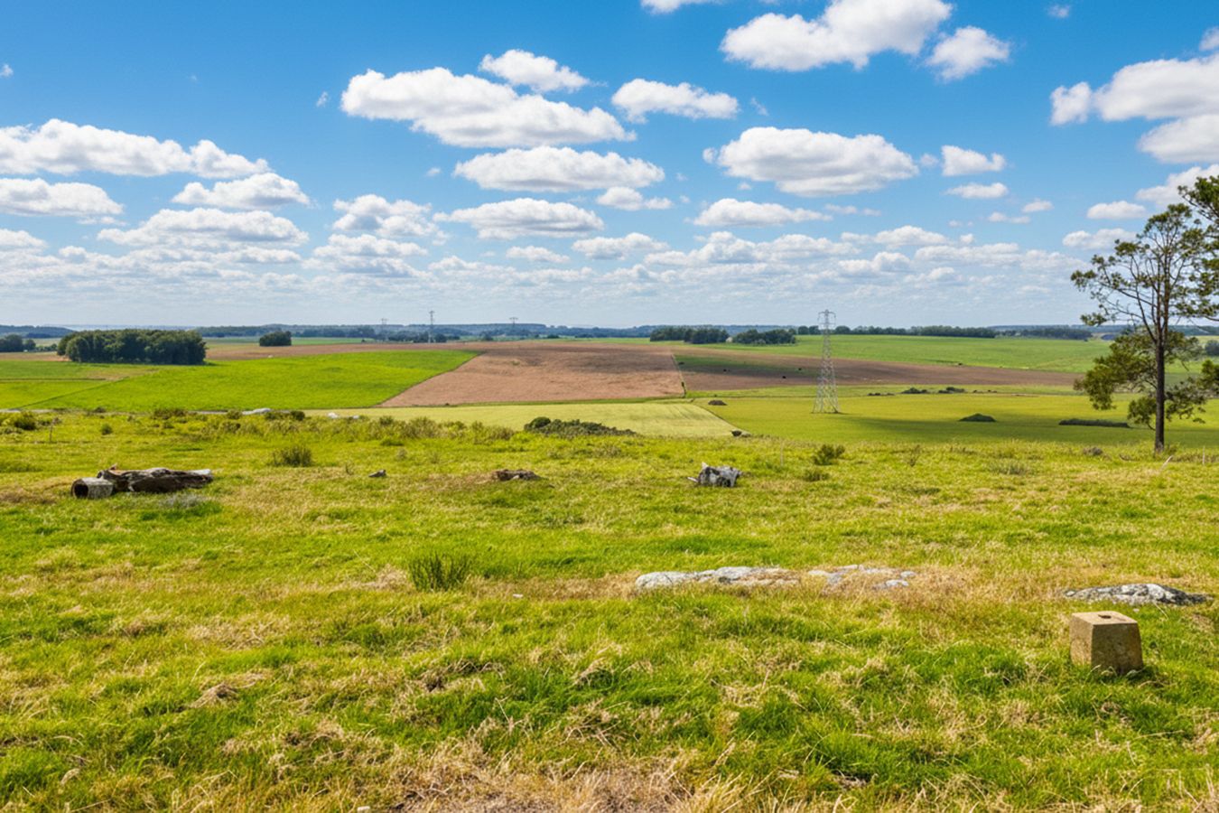 Campo EN VENTA
