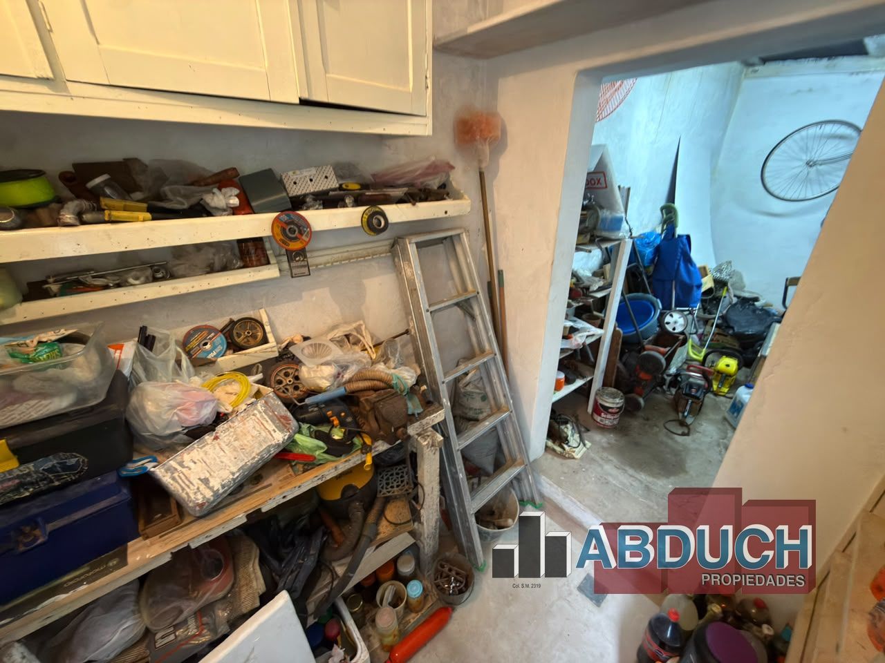 Imagen 24