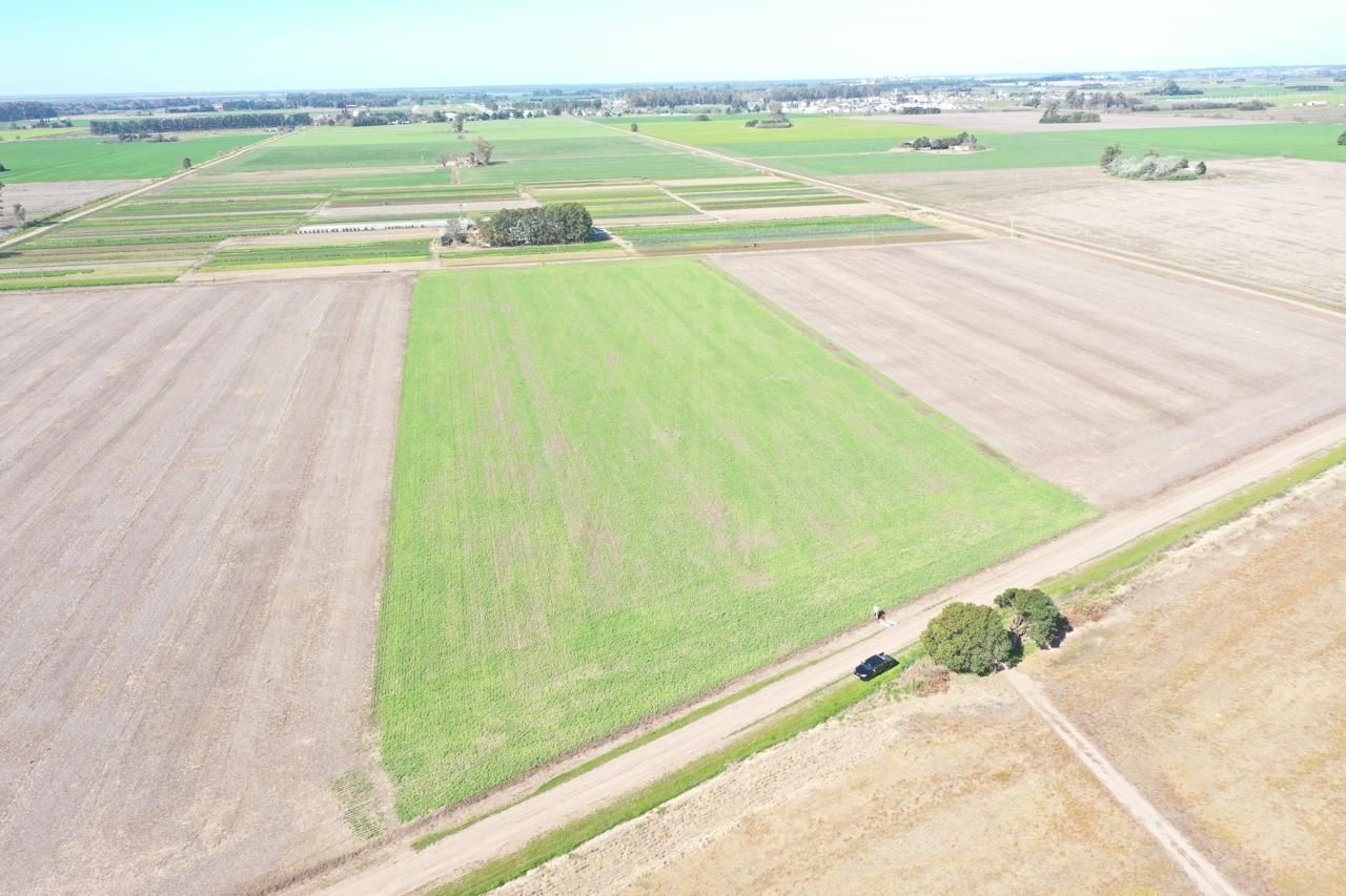 VENTA DE CAMPO EN General Lagos - 1