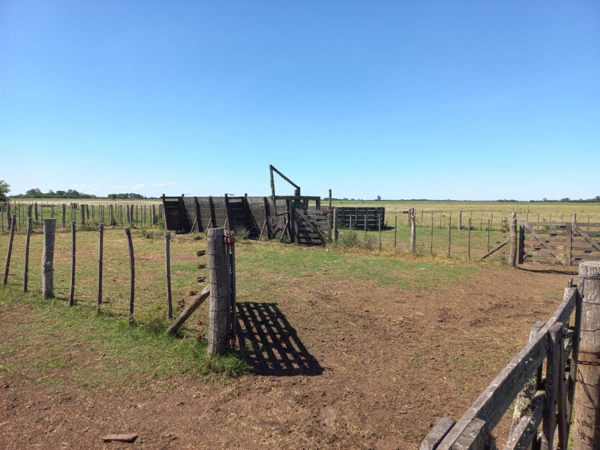 Campo EN VENTA
