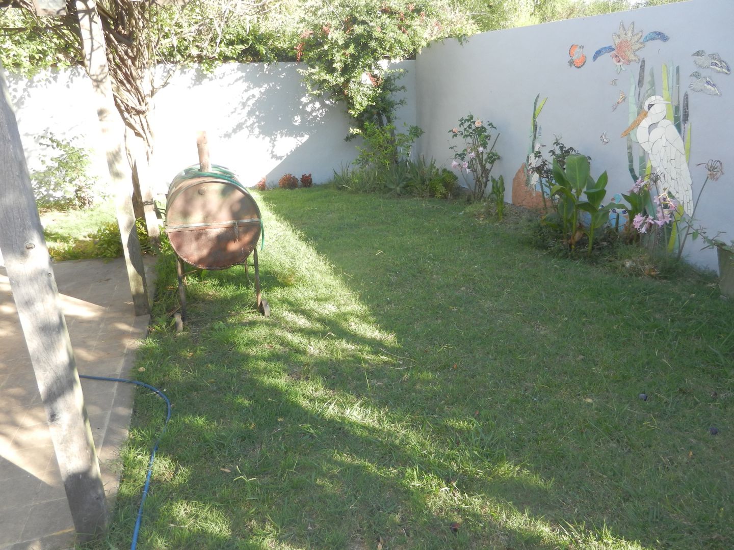 Imagen 18