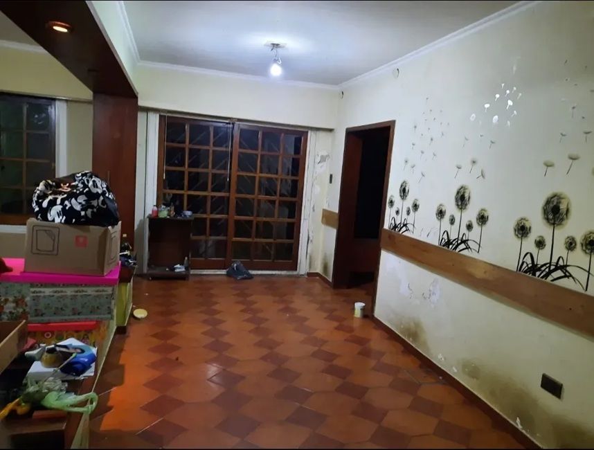 Imagen 5