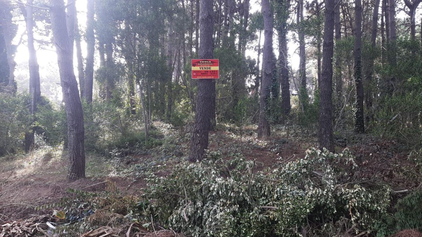 Lote en venta Norte 0 ambientes