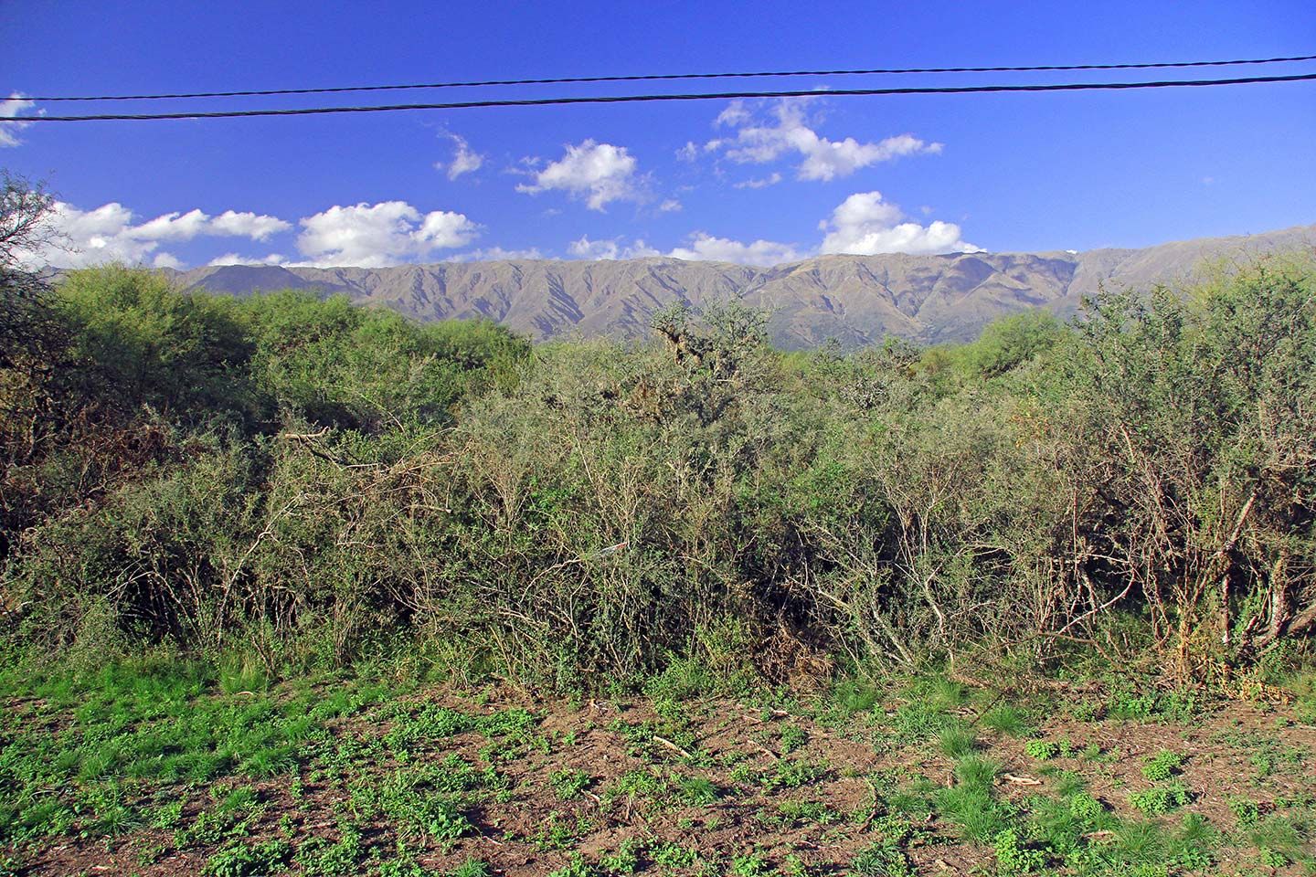 Lote EN VENTA