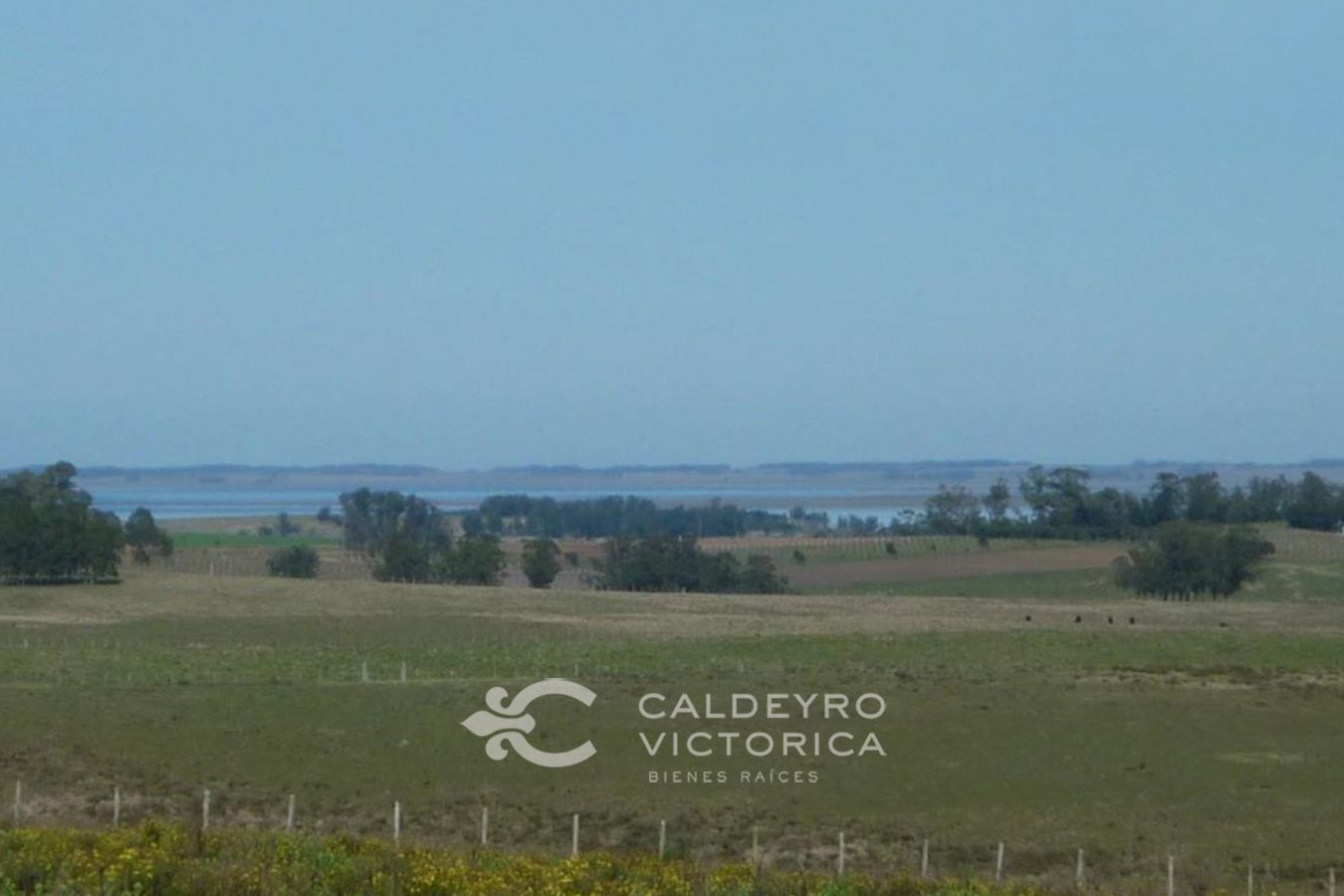 Campo EN VENTA