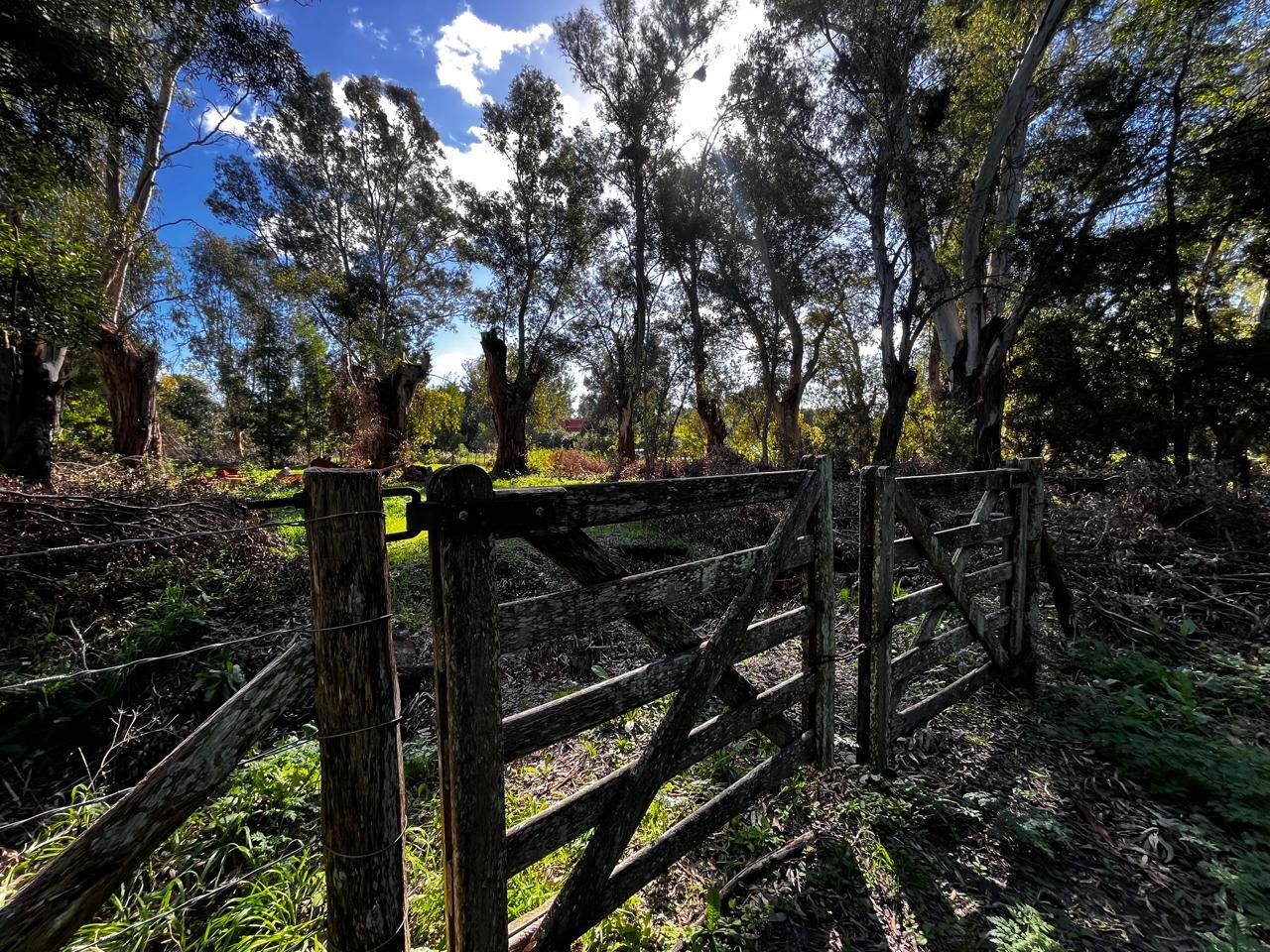 Lote EN VENTA