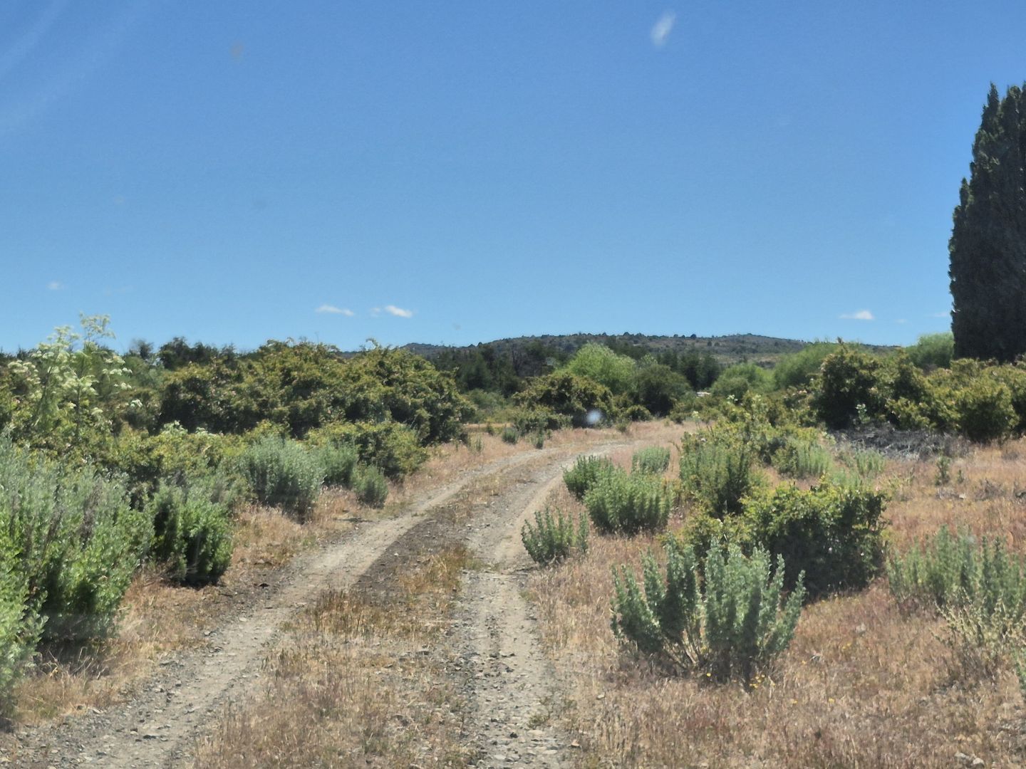 Campo EN VENTA
