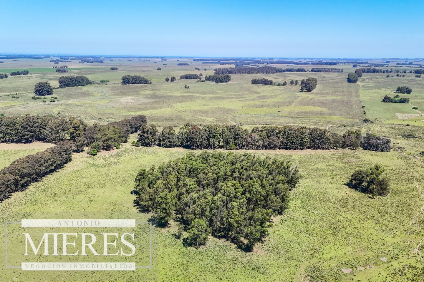 Campo EN VENTA