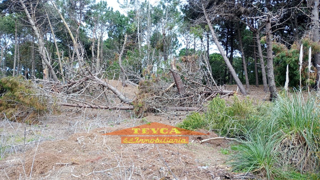 Lote en venta Norte 0 ambientes