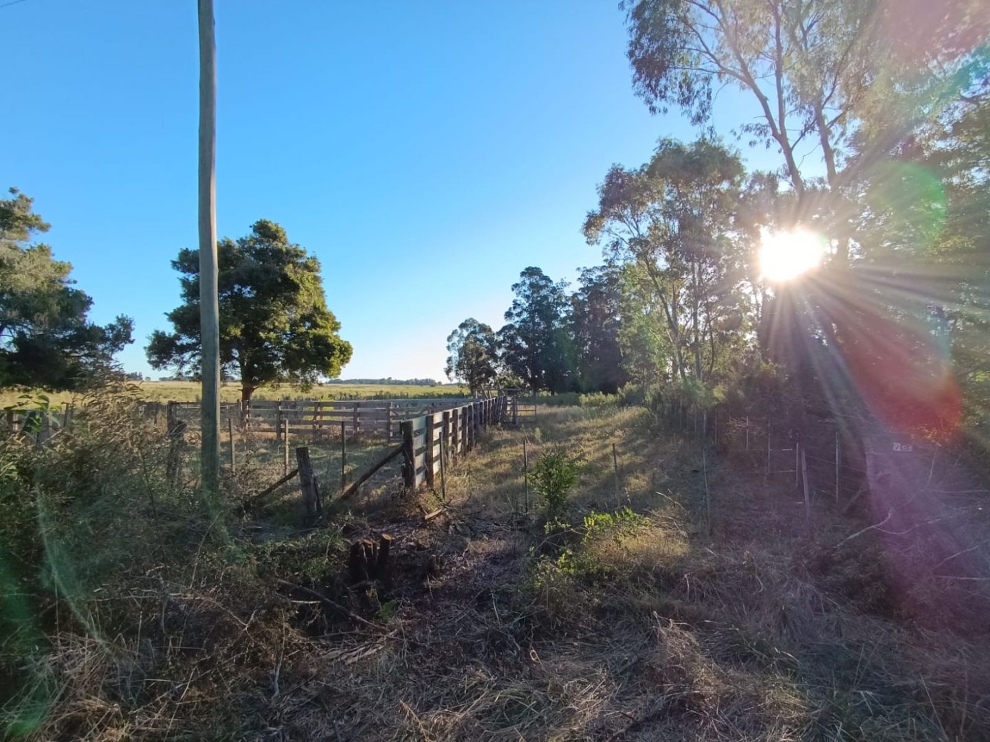 Campo EN VENTA