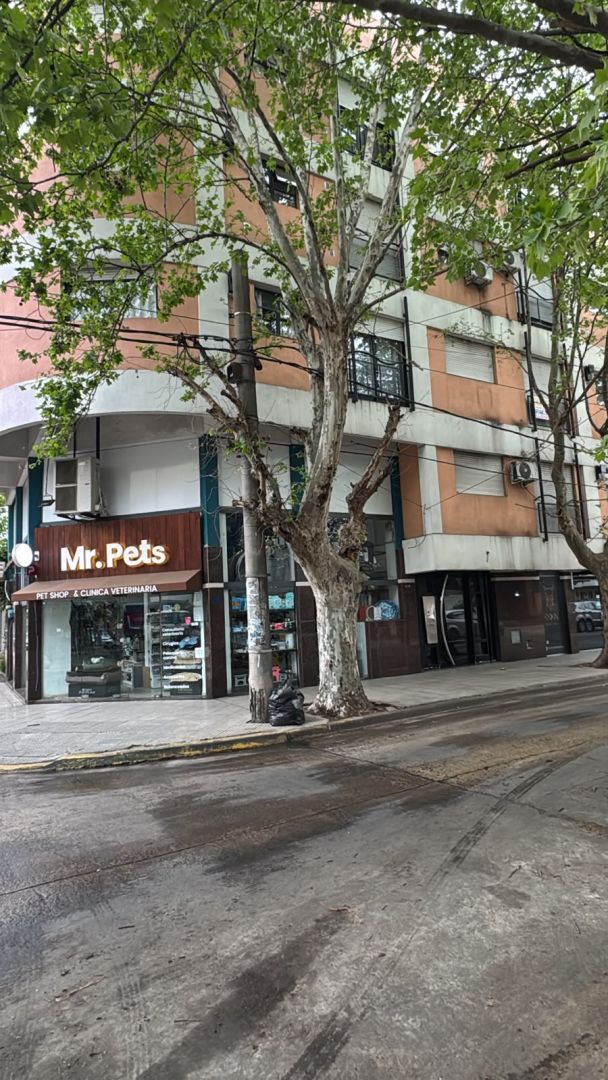 Imagen 8