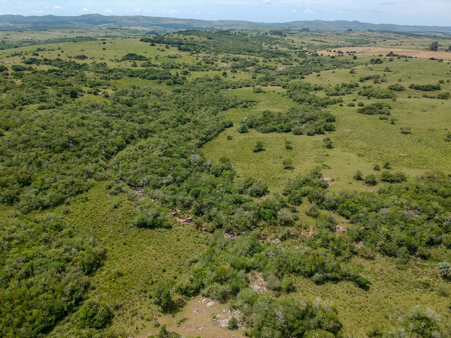 Campo EN VENTA