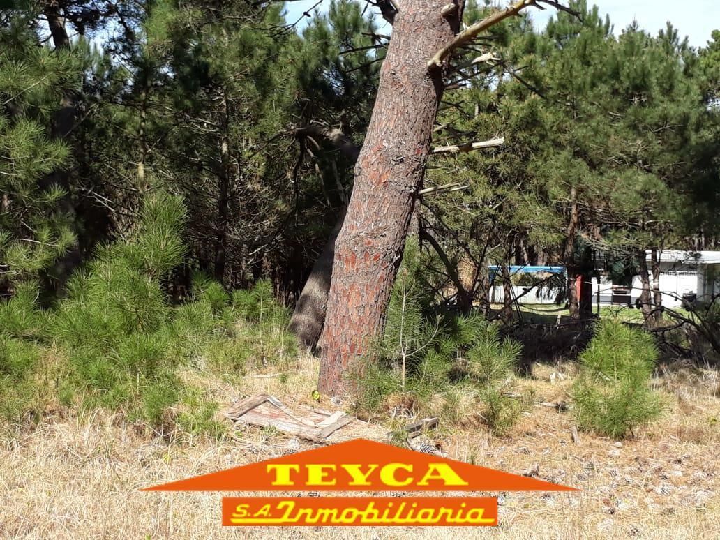 Lote en venta Alamos 0 ambientes