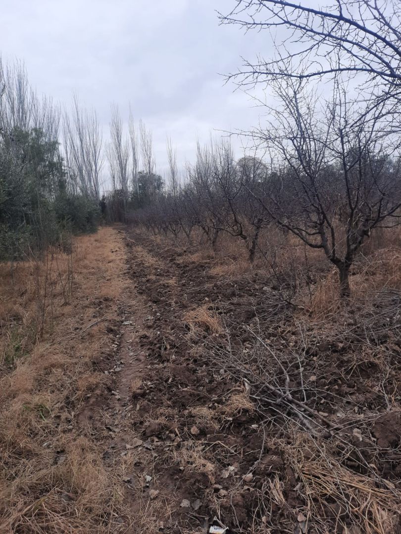 Campo en Venta en Junin, Buenos Aires Interior